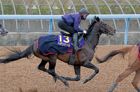 天皇賞・春連覇狙うヘデントール 競馬、最終追い切りで態勢整える | 全国のニュース | 福井新聞ONLINE