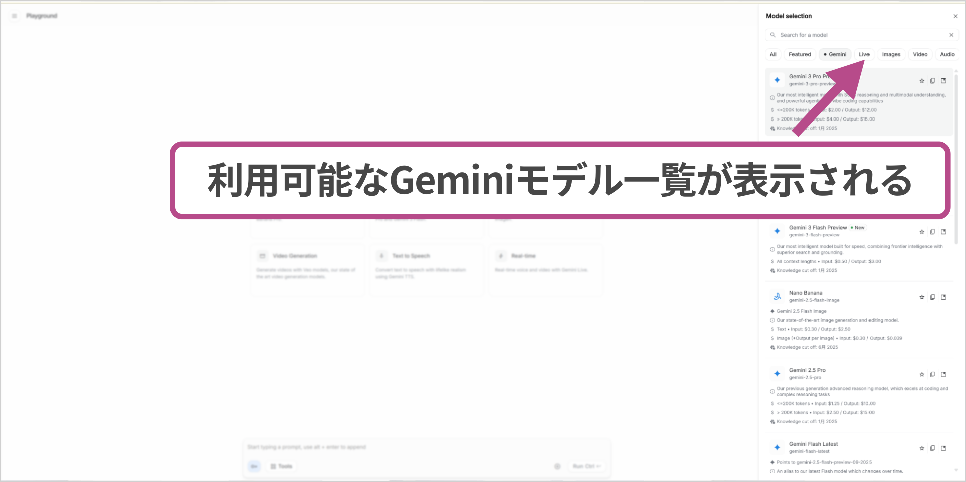Model selectionパネルで「Gemini」タブを選択し、利用可能なGeminiモデル一覧が表示された状態の画面