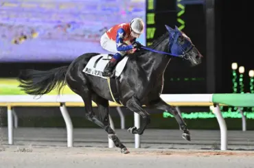 【船橋11R・こぼれ桜特別】鋭脚アルラ突き抜ける - スポニチ Sponichi Annex ギャンブル