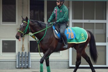馬トク激走馬に計算されたメタルスピード（カメラ・荒牧　徹）