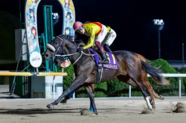 【佐賀･第25回ル・プランタン賞】5日発走　サキドリトッケン地元重賞6連勝へ！　予想印を公開 - スポニチ Sponichi Annex ギャンブル