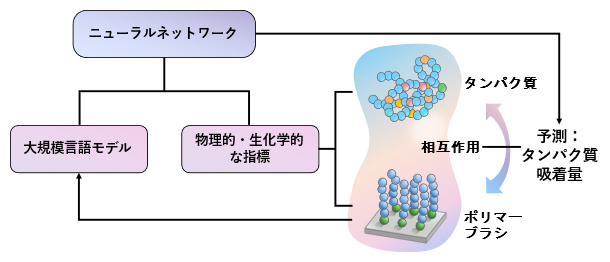 化学構造式を読み解く大規模言語モデルと物理的・生化学的な特徴量を組み合わせたBB-EITの図