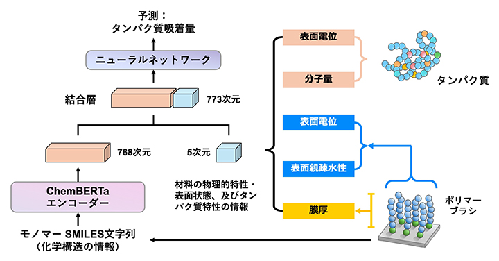 AIモデルBB-EITの構造の図
