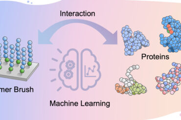 タンパク質吸着量を予測する新AIを開発 | 理化学研究所