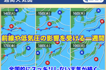 ウェザーニュース