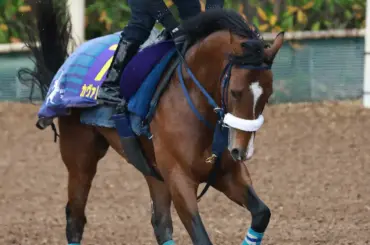 【皐月賞展望】朝日杯FS王者カヴァレリッツォが1冠奪取へ - スポニチ Sponichi Annex ギャンブル
