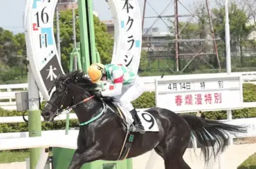 【阪神アーバン競馬】新人・高橋洸佑が4Rで初騎乗初勝利 - スポニチ Sponichi Annex ギャンブル
