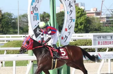 【阪神アーバン競馬　西日本クラシック】ミルトイブニング　想定外の逃げで後続に大差つけ重賞初制覇 - スポニチ Sponichi Annex ギャンブル