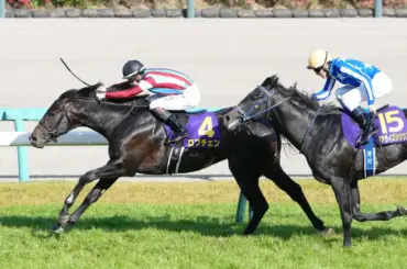 【皐月賞】2着リアライズシリウス　手塚久師「勝ったと思ったけど…」かわし切れず3/4馬身差 - スポニチ Sponichi Annex ギャンブル