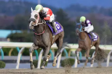 【水沢競馬　留守杯日高賞】セイクリスティーナ重賞6勝目　9年ぶりに地元勢V - スポニチ Sponichi Annex ギャンブル
