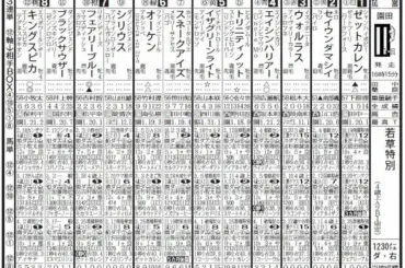 【園田競馬　今日発走　若草特別】キングスピカ　大外枠から本領の末脚を披露 - スポニチ Sponichi Annex ギャンブル