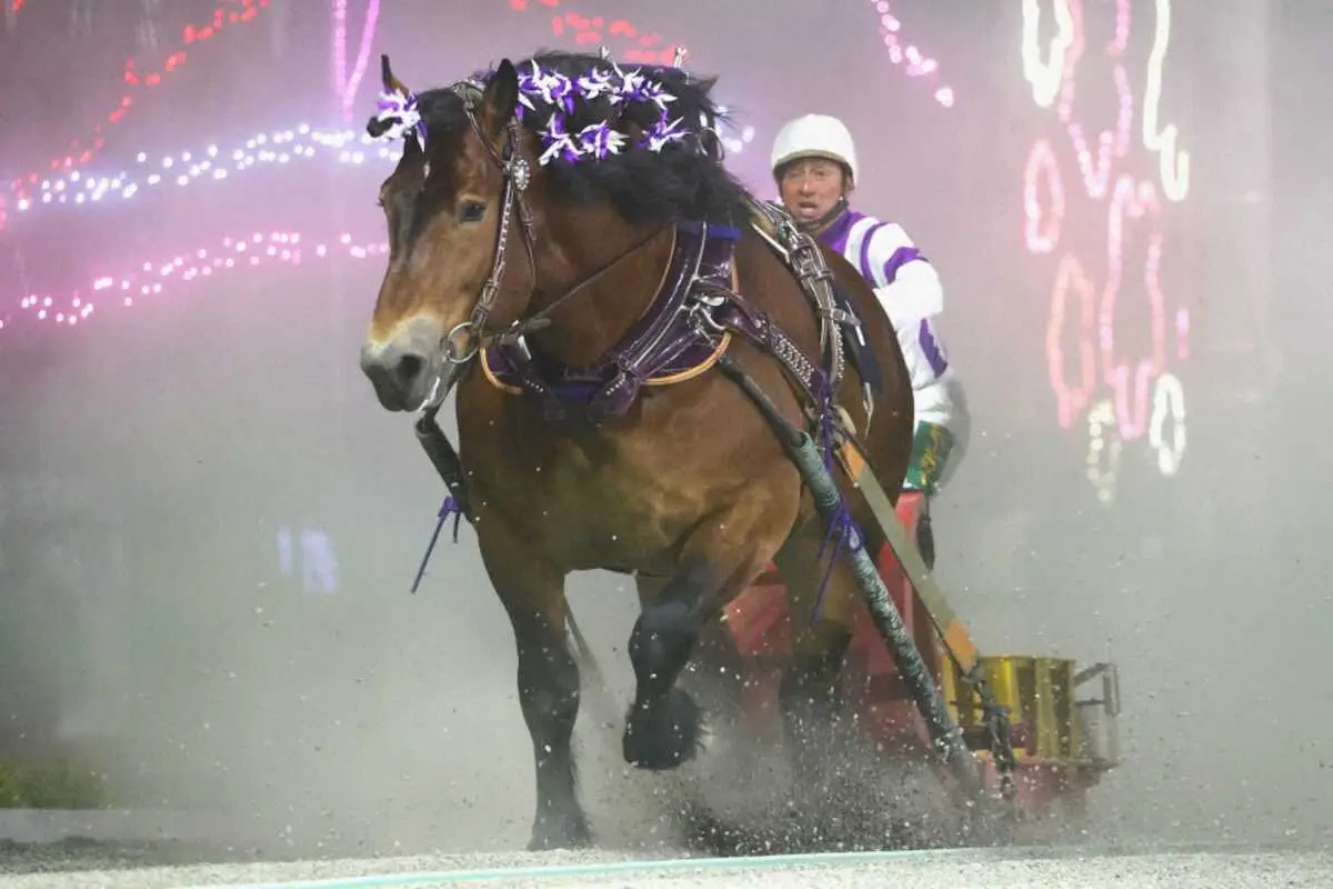 【ばんえい十勝オッズパーク杯】メムロボブサップ重賞28勝目　阿部武臣「お尻がざわざわしました」 - スポニチ Sponichi Annex ギャンブル