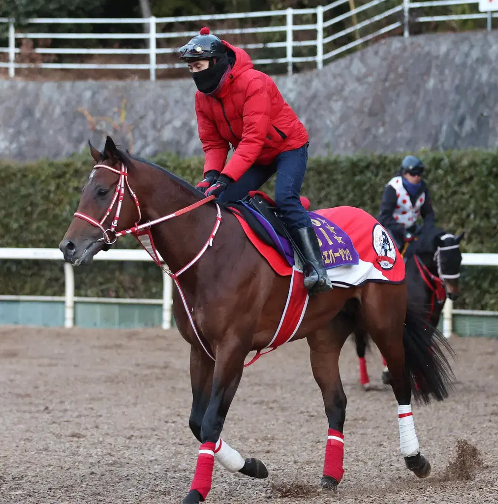 フォーエバーヤング　6・17英G1プリンスオブウェールズSに登録　アスコット競馬場が発表 - スポニチ Sponichi Annex ギャンブル