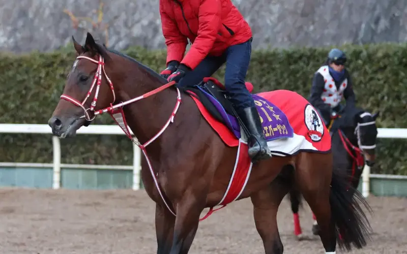 フォーエバーヤング　6・17英G1プリンスオブウェールズSに登録　アスコット競馬場が発表 - スポニチ Sponichi Annex ギャンブル