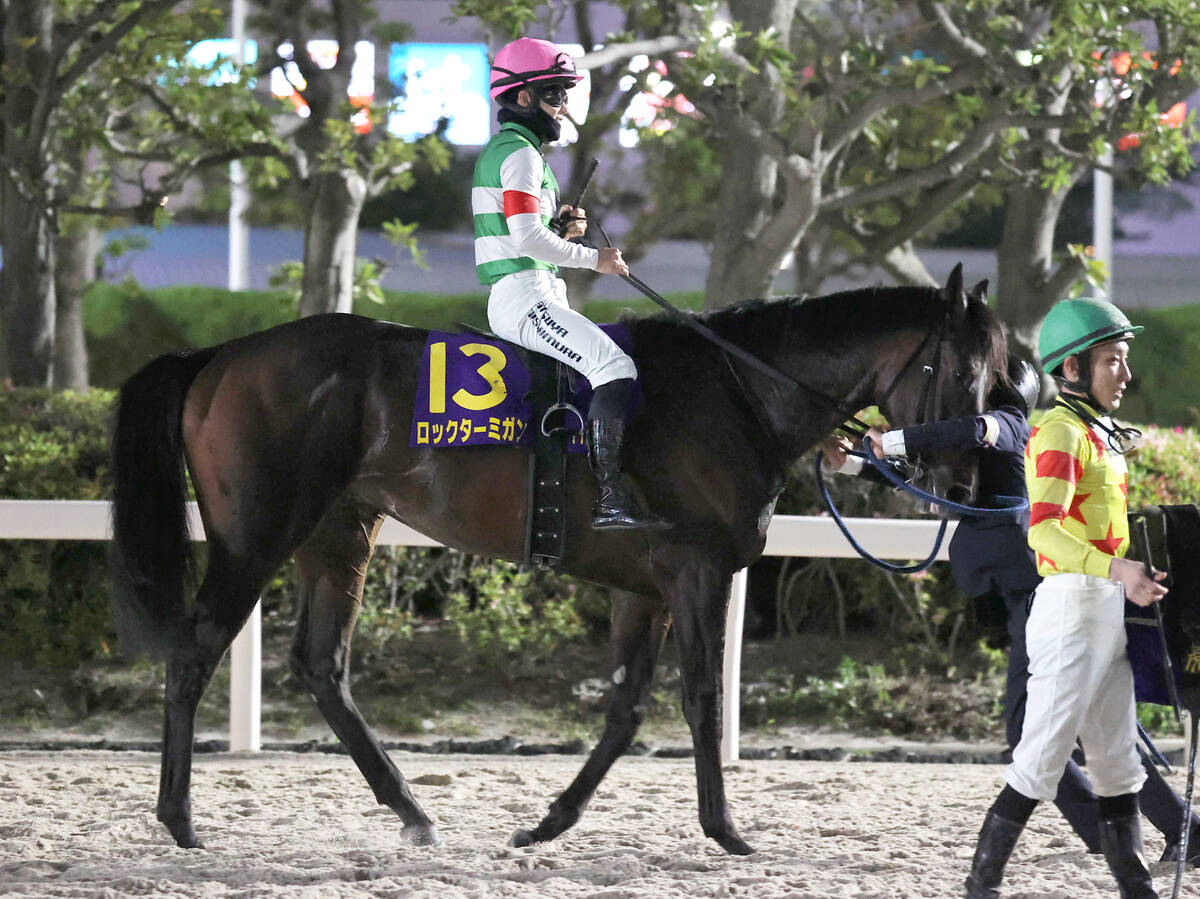 ２着に敗れたロックターミガン（カメラ・竜田　卓）