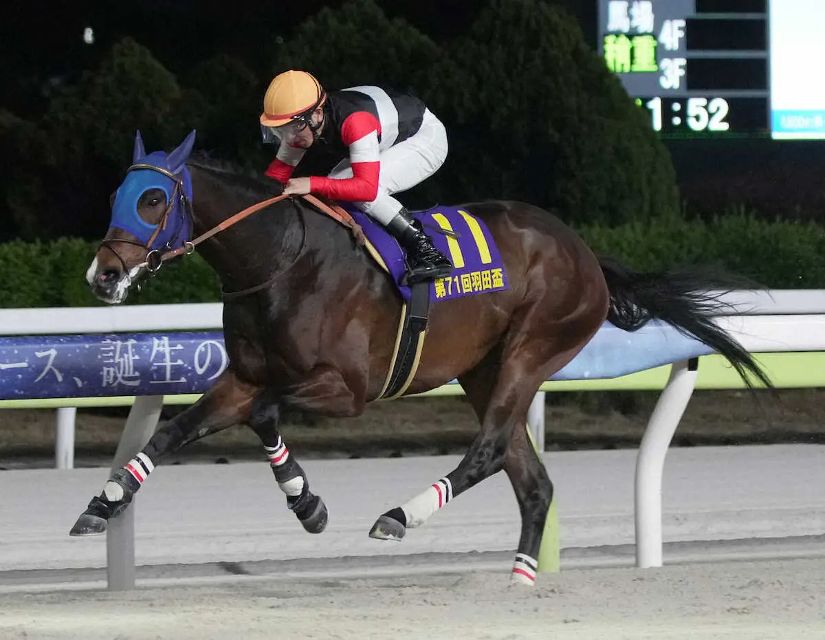 【大井競馬　羽田盃】フィンガー　激しい先行争いを制し逃げ切り　3歳ダート1冠目獲得 - スポニチ Sponichi Annex ギャンブル