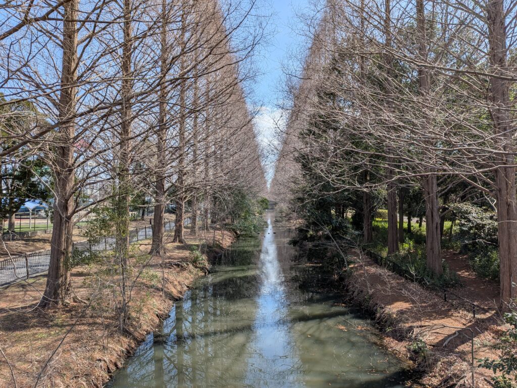 加須市の子育て環境は、実はAGI時代に最適 – おおさわあつし(オオサワアツシ) | 選挙ドットコム 加須市の子育て環境は、実はAGI時代に最適 - おおさわあつし(オオサワアツシ) | 選挙ドットコム