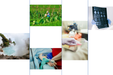 アジアの研究者による AlphaFold の活用事例のご紹介