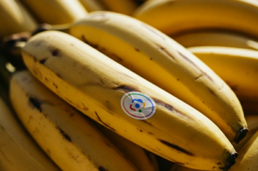 Nano Banana 1 が Google 検索、NotebookLM に登場