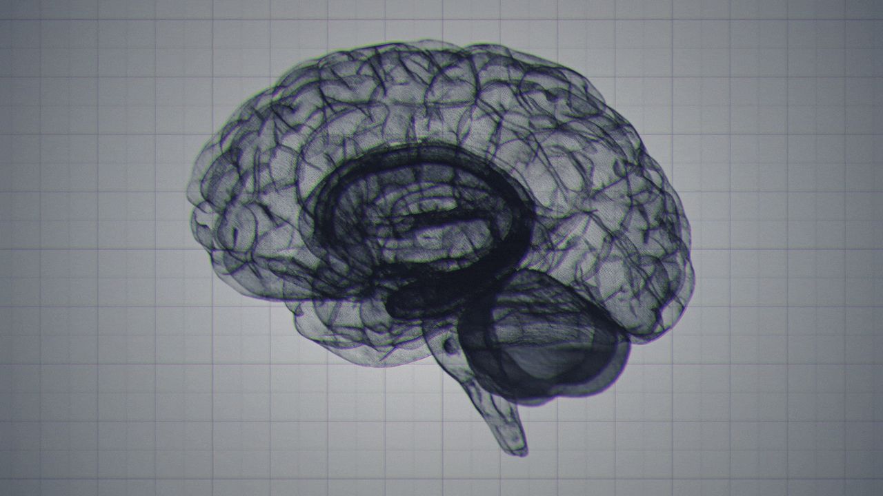 「AGI(汎用人工知能)」という言葉を生み出した男 | WIRED.jp 「AGI(汎用人工知能)」という言葉を生み出した男 | WIRED.jp