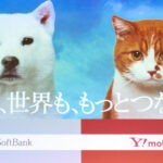 ソフトバンク値上げの背景に「通信品質維持の限界点」　Y!mobileは収益重視で改定、LINEMOは据え置き – ITmedia Mobile – ITmedia