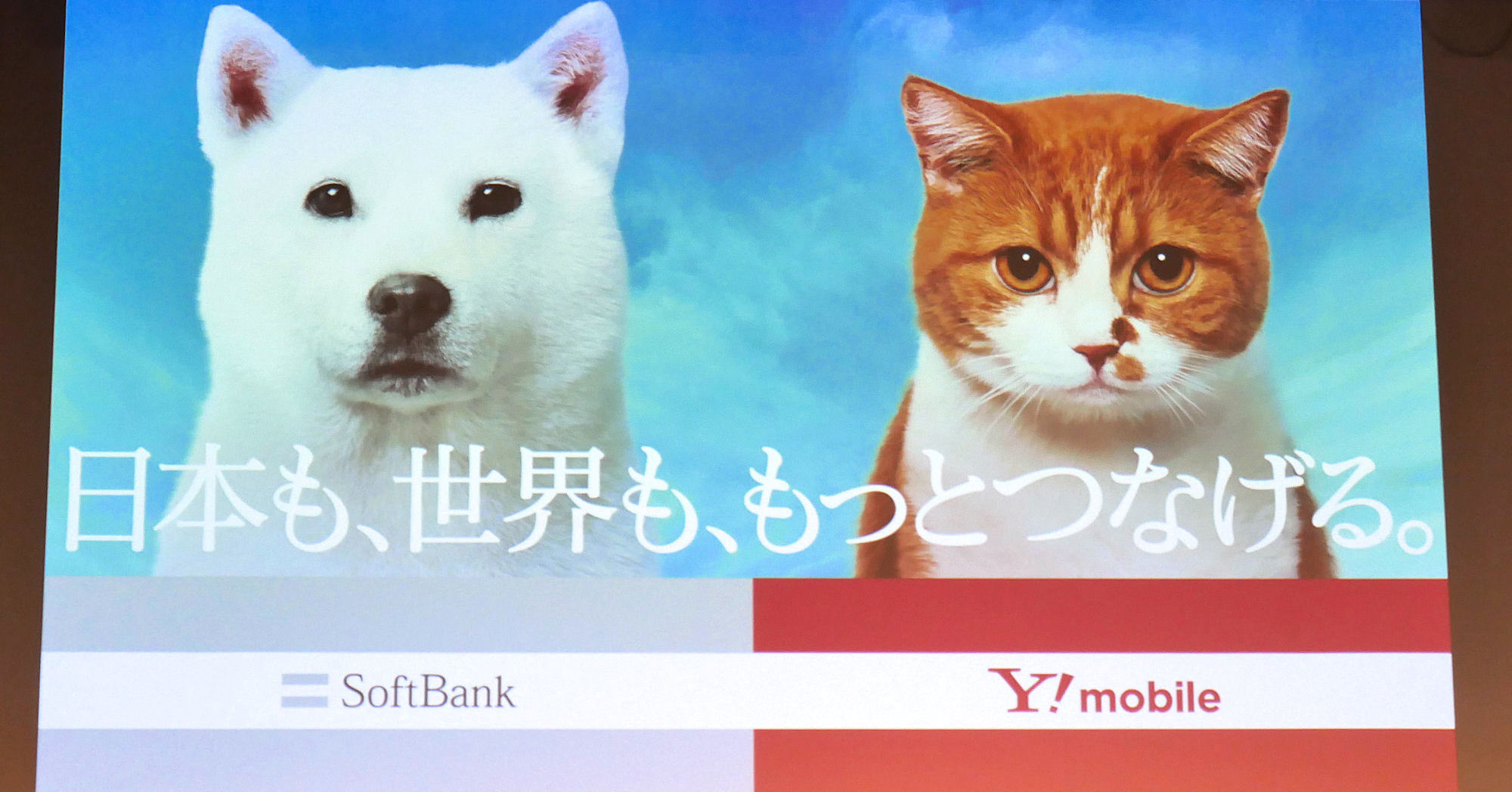 ソフトバンク値上げの背景に「通信品質維持の限界点」　Y!mobileは収益重視で改定、LINEMOは据え置き – ITmedia Mobile – ITmedia
