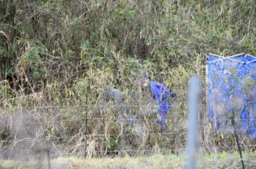 【速報】遺体の着衣「84とプリントしたトレーナー」京都府南丹市・男児行方不明 府警「矛盾ない」 - 京都新聞デジタル