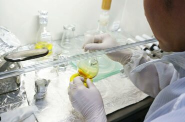 小惑星ベンヌ試料から尿素 北大グループ 「生命の材料のもと」検出 - 沖縄タイムス社