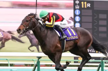 【元競馬記者芸人が予想】G1・皐月賞 中央競馬 2026 ｜印・買い目・出走馬分析 image