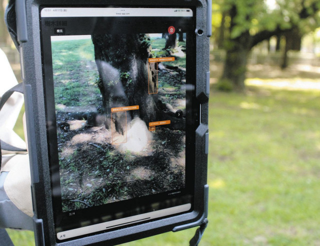 倒木相次ぐ都立砧公園　樹木点検に画像解析技術　目視代わりにAI活用 導入検討へ