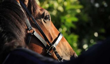 【日本ダービー／危険な人気馬】出世レースの勝ち馬が“惜敗”繰り返す現代競馬　「血統＋馬格」が示す距離適性にも疑問符