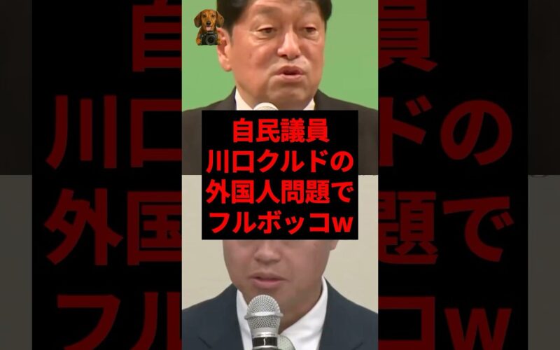 自民議員、川口クルドの外国人問題でフルボッコw #shorts