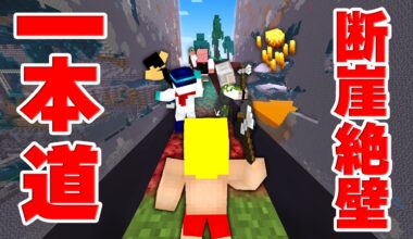 『断崖絶壁』の一本道を進んでエンドラ討伐！！【マイクラ】