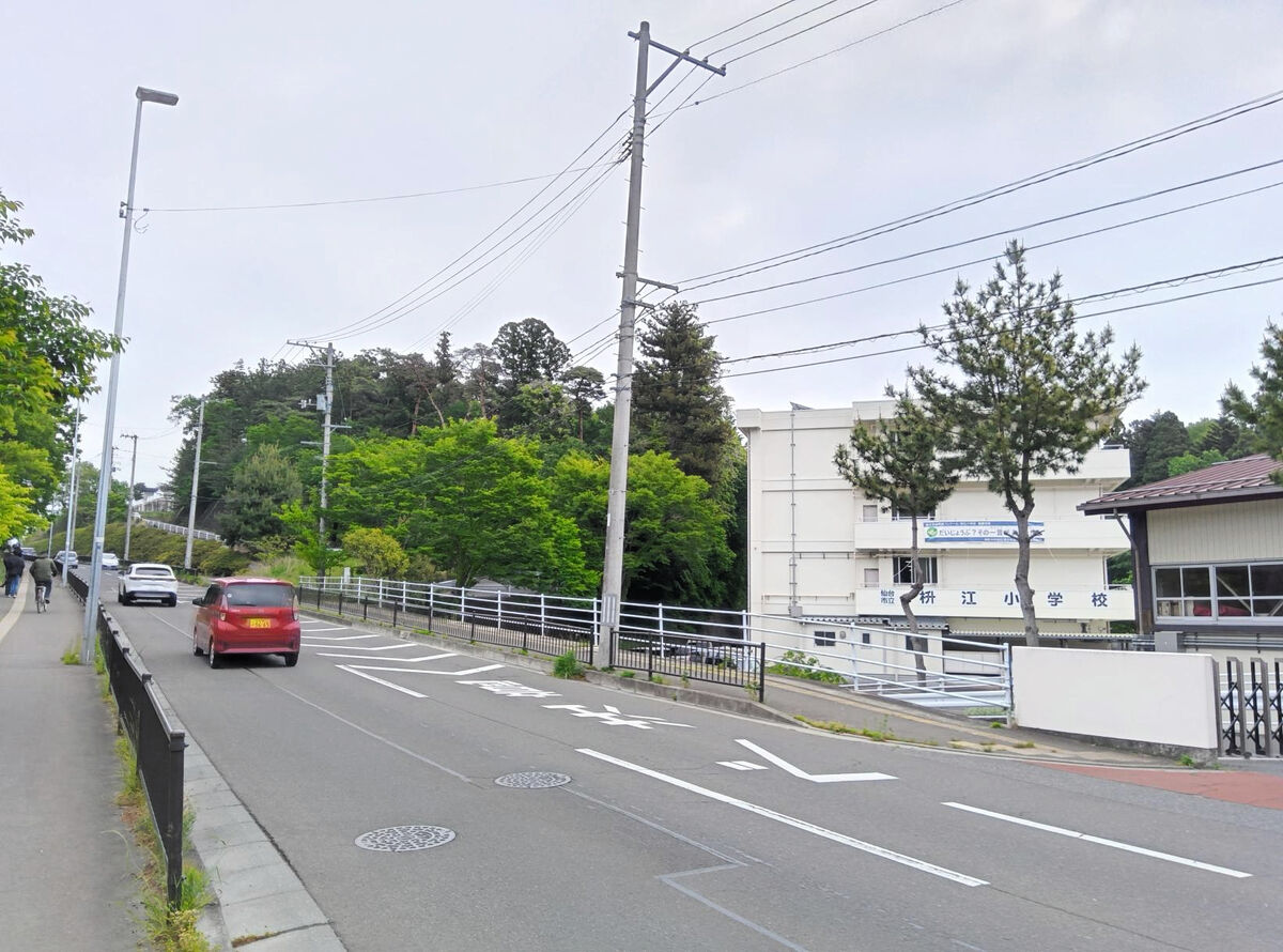 【速報】仙台・宮城野区の小学校近くに熊出没 東北高の現場から2・5㌔ 「黒い塊に近づいたら熊だった」 - 河北新報オンライン