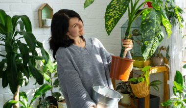 観葉植物が部屋の空気をきれいにしてくれるというNASAの研究には誤解が含まれているという指摘 - GIGAZINE