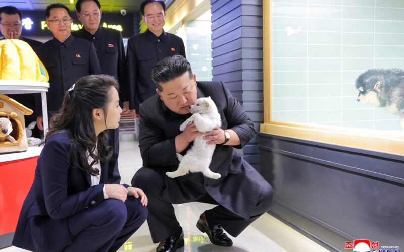 平壌だけが“地上の楽園”？ 地方住民が絶句した北朝鮮の残酷格差 - ライブドアニュース