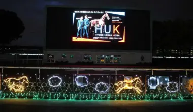 【阪神アーバン競馬】「イルミネーション点灯式」開催　光の演出がナイターを華麗に彩る - スポニチ Sponichi Annex ギャンブル