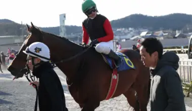 【阪神アーバン競馬展望】GW3連続重賞の幕開けとなる兵庫大賞典　実績断然のサトノルフィアン - スポニチ Sponichi Annex ギャンブル