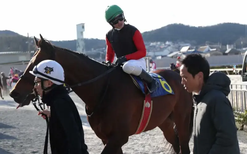 【阪神アーバン競馬展望】GW3連続重賞の幕開けとなる兵庫大賞典　実績断然のサトノルフィアン - スポニチ Sponichi Annex ギャンブル