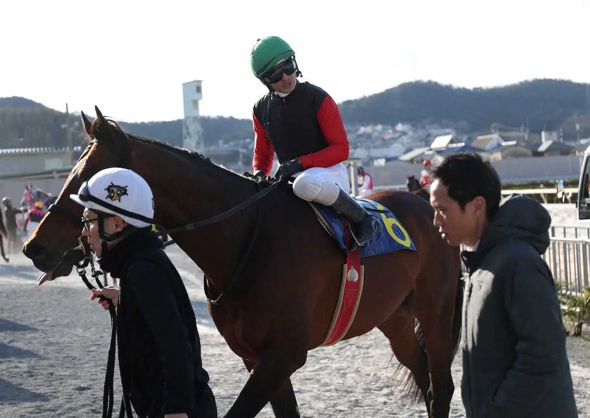【阪神アーバン競馬展望】GW3連続重賞の幕開けとなる兵庫大賞典　実績断然のサトノルフィアン - スポニチ Sponichi Annex ギャンブル