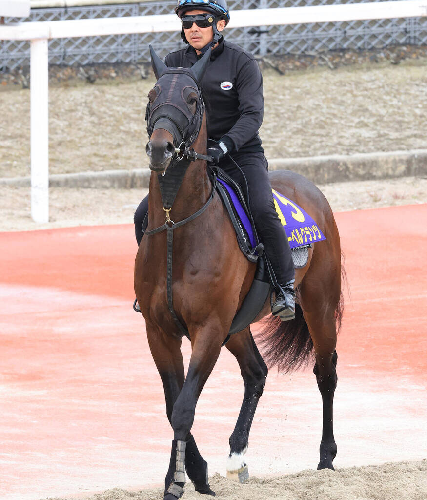 ローベルクランツ
