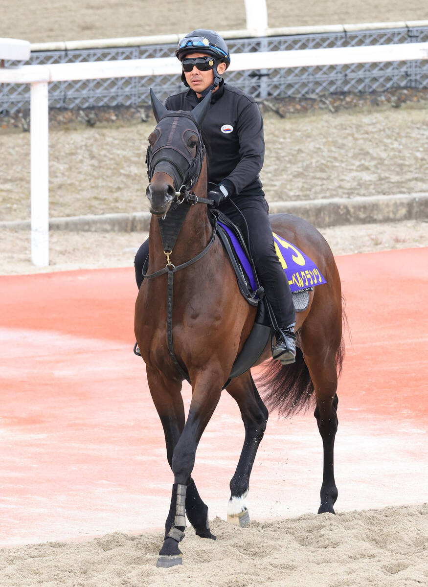 ローベルクランツ
