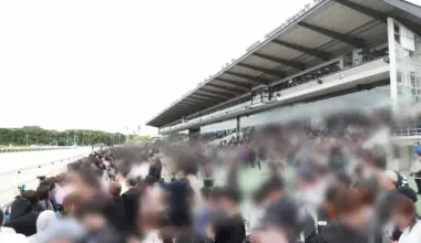【阪神アーバン競馬プレーバック】「HUK」浸透効果も　6日の売得金額はレコードラッシュ - スポニチ Sponichi Annex ギャンブル