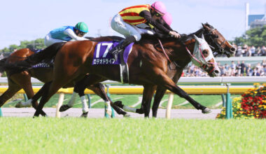 推定６センチ差の大激戦を制しＧ１初制覇のロデオドライブ（手前、カメラ・高橋　由二）