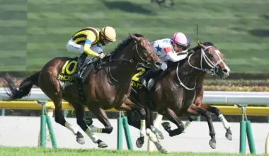 【メトロポリタンS】ウエストナウ　差し切りOP2勝目　寺島師「理想的な競馬ができた」 - スポニチ Sponichi Annex ギャンブル