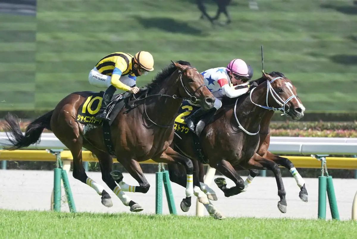 【メトロポリタンS】ウエストナウ　差し切りOP2勝目　寺島師「理想的な競馬ができた」 - スポニチ Sponichi Annex ギャンブル