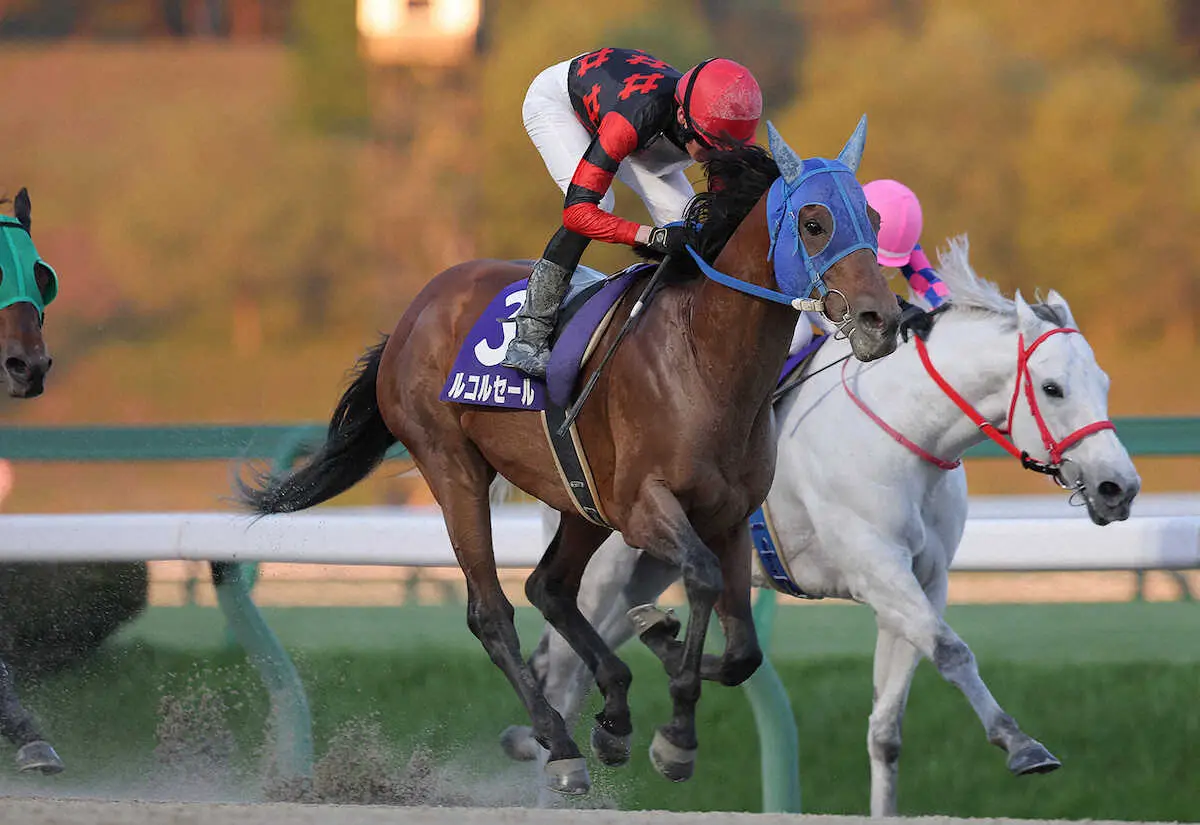 【盛岡競馬　シアンモア記念】ルコルセール重賞2勝目　石川倭騎手「完勝だったと思います」 - スポニチ Sponichi Annex ギャンブル