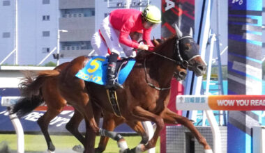 新馬戦に勝利したブエンディア