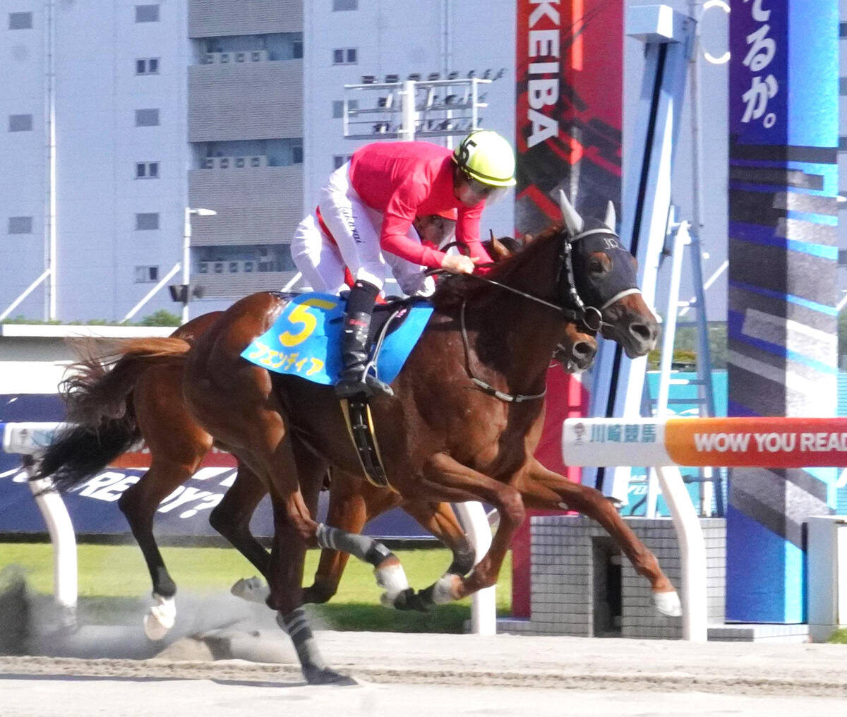 新馬戦に勝利したブエンディア
