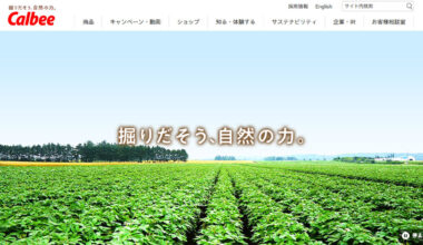 「カルビーの白黒パッケージ」に官邸はピリピリ 民間企業を「呼び出し」までする背景には「疑念」も（デイリー新潮） - Yahoo!ニュース